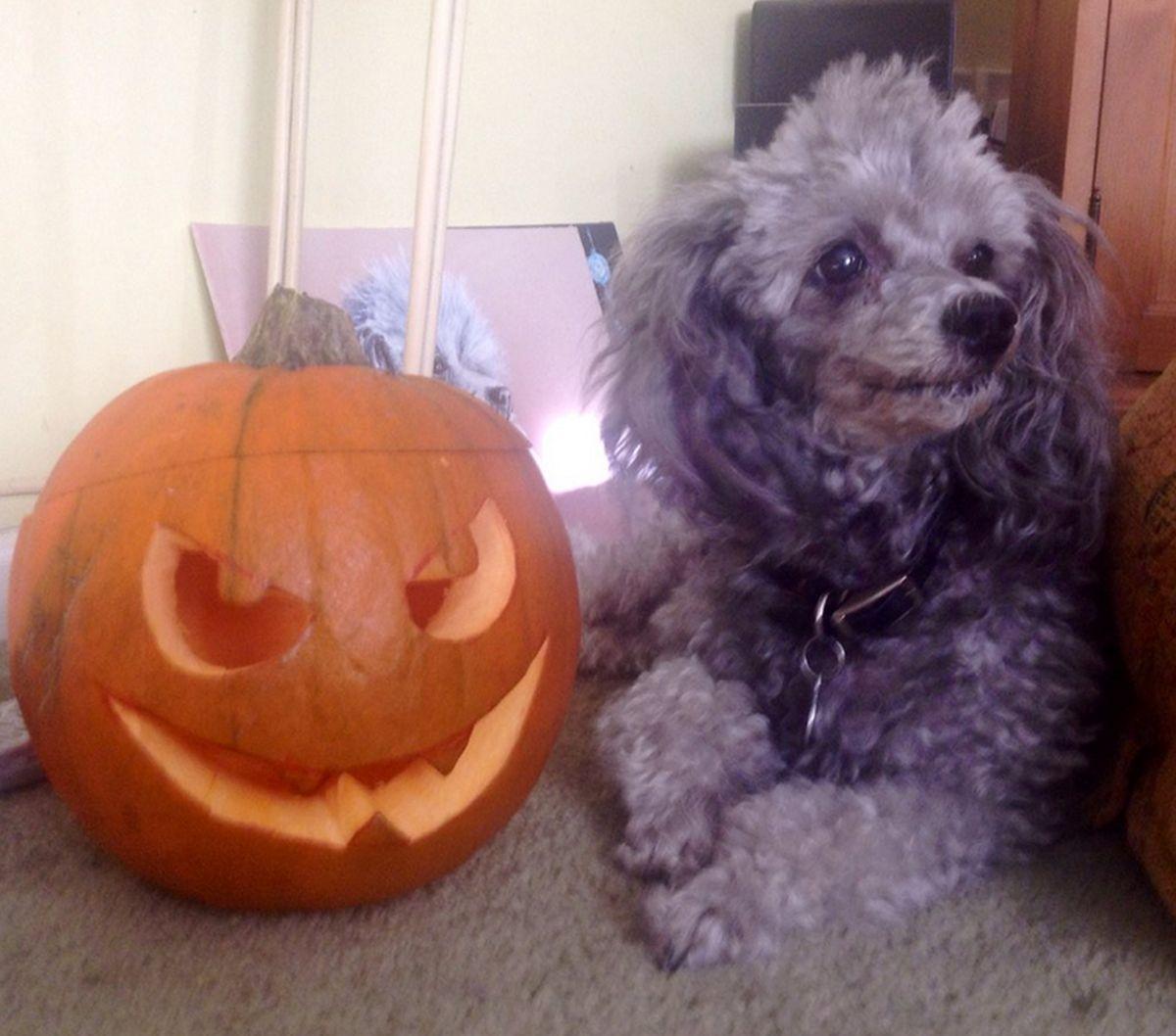 Bobby Britain sent us this spooky pumpkin picture. . .