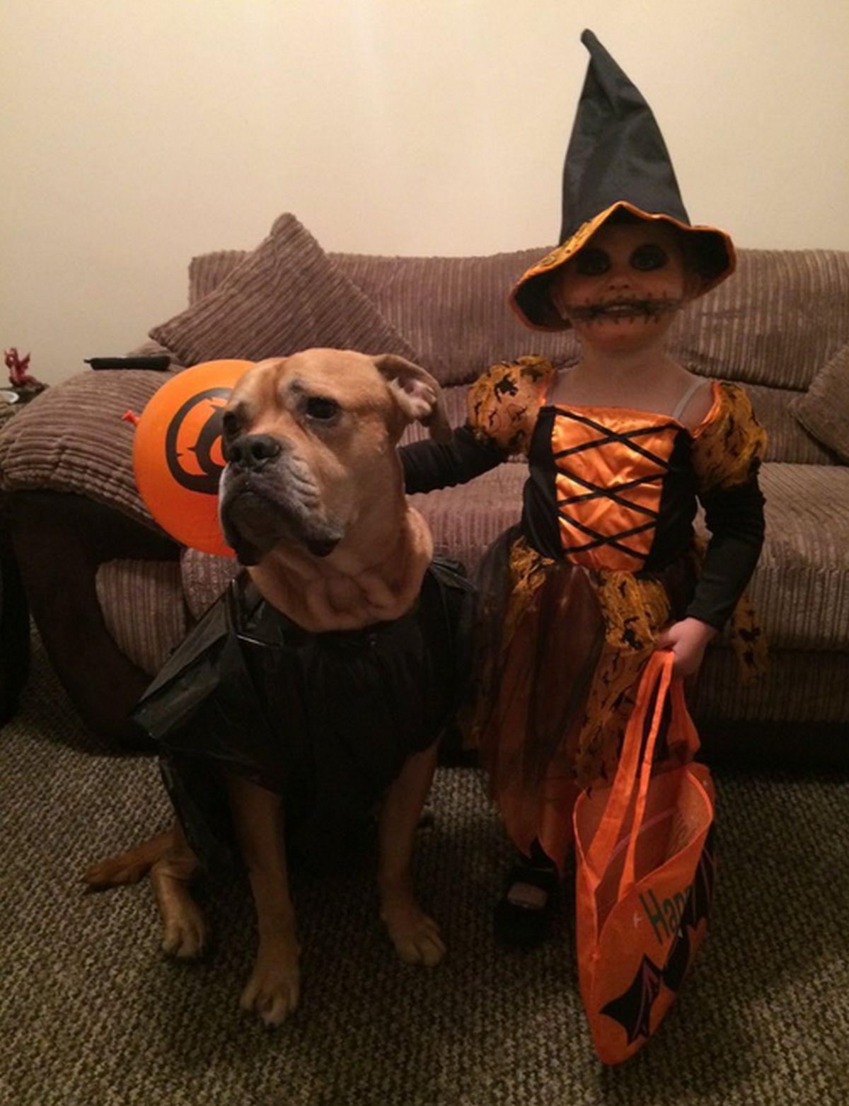 Picture by Emma Cain of her niece and their dog dressed up