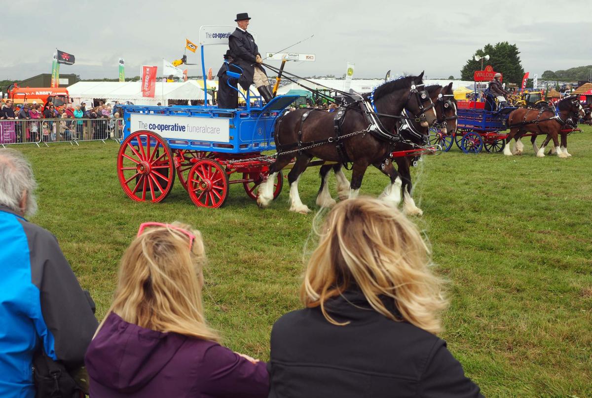 All our photos from the 2016 Dorset County Show  Pictures: Geoff Moore/Dorset Media Service