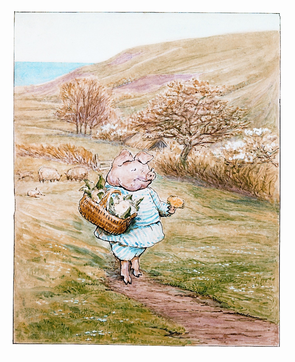How Dorset inspired Beatrix Potter's The Tale of Little Pig Robinson - Dorset Echo