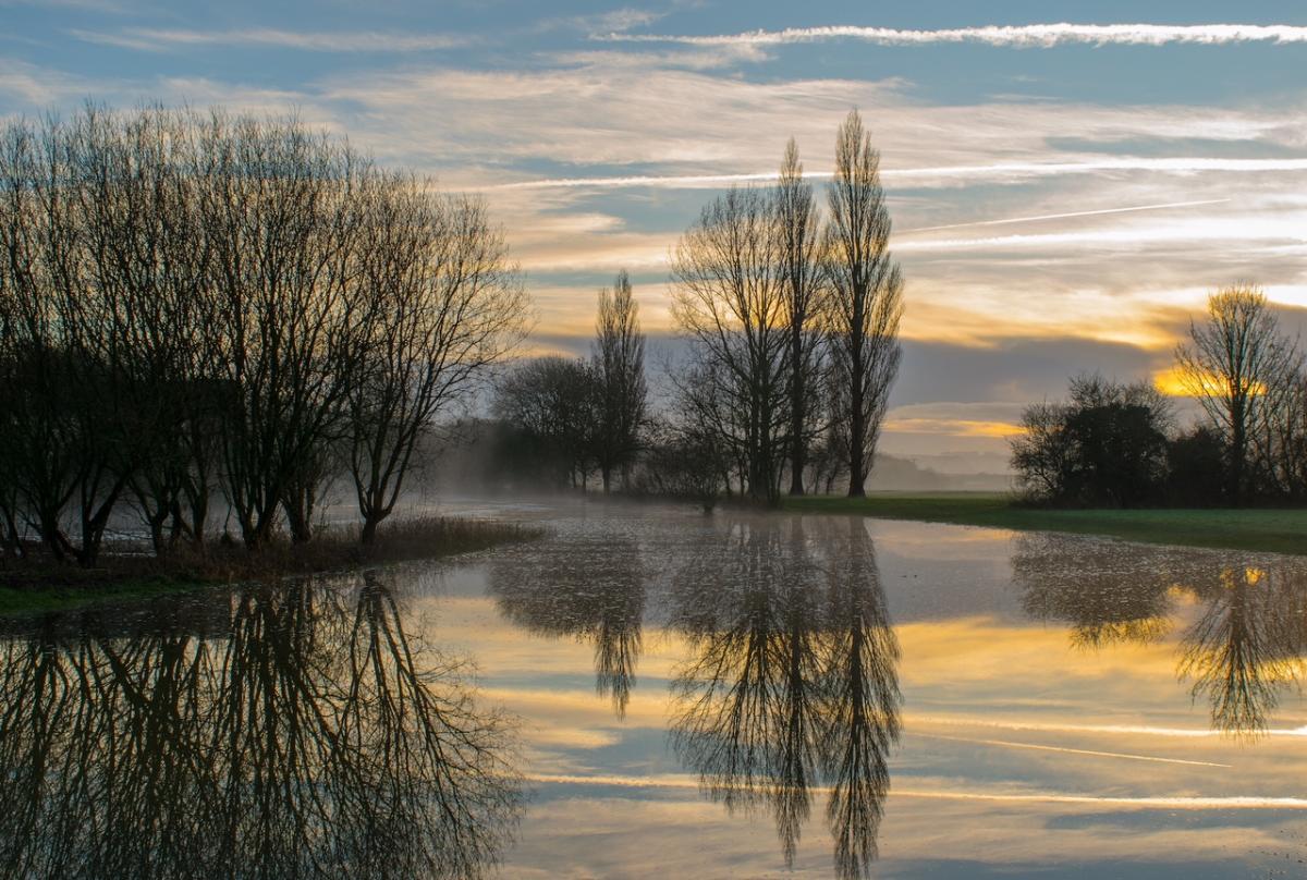 Sunrise reflections at Blandford River Stour January 2016 by Paul Dimarco