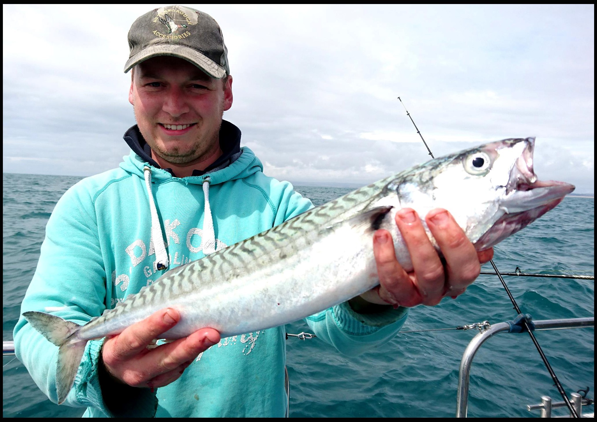 Angler snares the biggest mackerel caught in 30 years in British waters