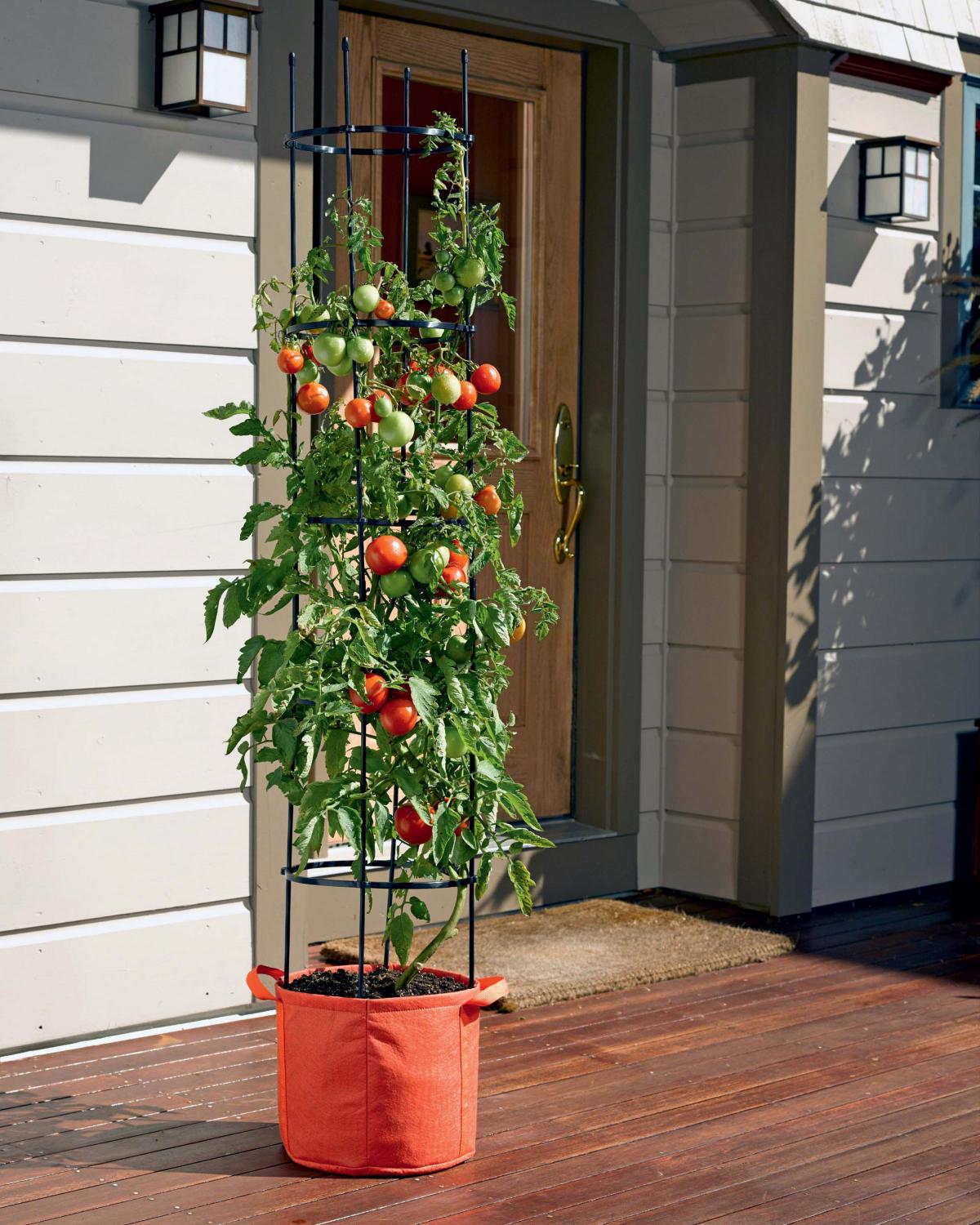 6 imaginative ways to use grow bags in small spaces