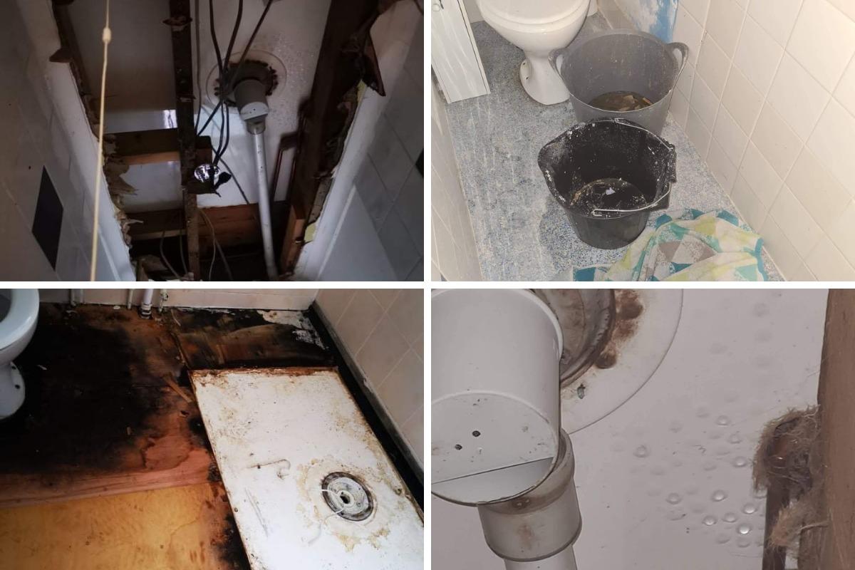 Ceiling Of Family Home In Dorset Collapses Due To Water Leak Dorset Echo