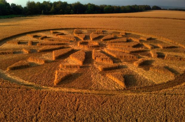 Dorset Echo: The crop circle close up Picture: Droning On (Echo Camera Club)