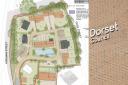 Cerne Abbas 19 homes scheme - Illustration – Proposed site plan – courtesy Applecourt Ltd/Williams Lester