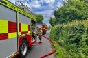 Dorset's fire service responds after being reported to Health & Safety Executive