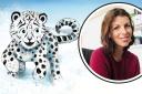 Dorchester illustrator Zoe Barnish has designed new children's book Sparkle, which is about a snow leopard cub's adventures
