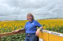 Hazel Hoskin, organiser of the sunflower trail