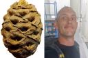 The pinecone and its finder Casey Rich
