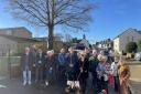 Residents rally against a proposed felling of a sycamore tree in Wareham