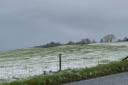 Snow just off the A35 between Dorchester and Bridport