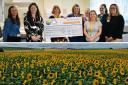 Top: Hazel Hoskin (third from left) with members of the Charity and SCBU Teams. Bottom: The sunflower trail