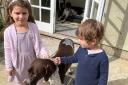 Willow, a missing dog, with the owner's grandchildren