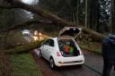A couple had a lucky escape when a tree fell on their car in Lytchett  Matravers