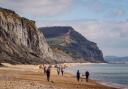 Charmouth, where many fossils are found Picture: Tom Ormerod