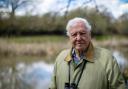 A new David Attenborough series The Mating Game is on screens this Sunday, here's how you can watch it. (Credit: PA)