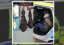 A male has been arrested after medical items were ditched as a man tried to flee police officers last week Picture: North Dorset Police