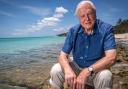 Here’s how you can wish David Attenborough a happy birthday (Thankbox)