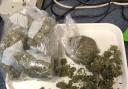 The 'large amount' of cannabis was discovered by Police following a warrant at a Weymouth property