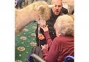 Resident at Glencairn House petting an alpaca