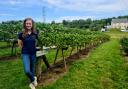 Yasmin Reid runs her grandparents Pick-Your-Own farm and tea rooms