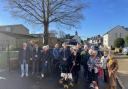 Residents rally against a proposed felling of a sycamore tree in Wareham Image: Daily Echo