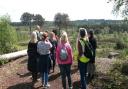 Volunteers will lead the health walks across Dorset