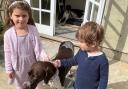 Willow, a missing dog, with the owner's grandchildren