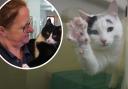 RSPCA Taylor's Rehoming Centre