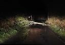 Tree falls on Pymore Road