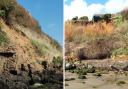 Landslips at coast near to popular path which is set to be opened