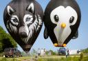Different themed hot air balloons will be on display for people to ride in including a penguin and a wolf