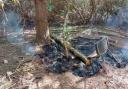 220 hectares of Wareham Forest were scorched by wildfire in 2020 by discarded barbecues