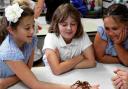 WE CAN HANDLE IT: St Andrew’s pupils handle a tarantula