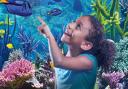 OFFER: Get 40% off at the Weymouth Sea Life Adventure Park!