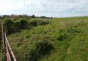 Land at Wyke Oliver Farm, Preston, potential development site