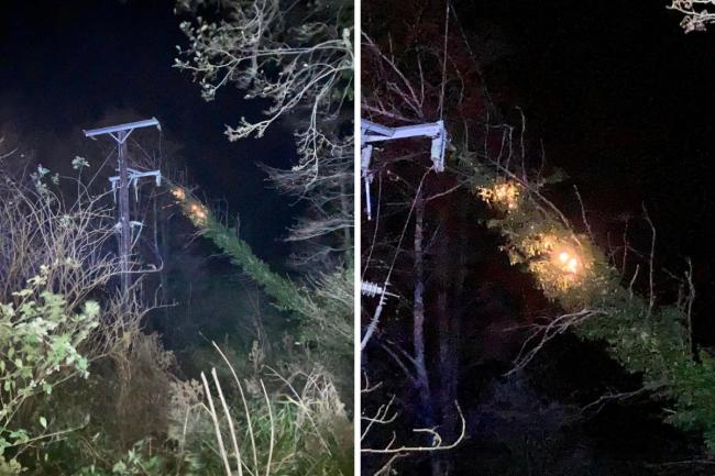 A tree fell onto high voltage power cables and caught alight in Walditch, near Bridport. Picture: Bridport Fire Station