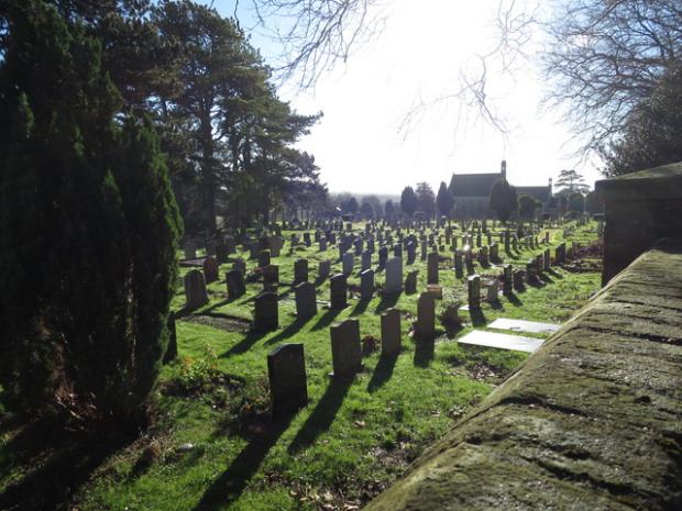 Dorset Echo: Pic – Weymouth Avenue cemetery – likely to be designated a Site of Nature Conservation Interest