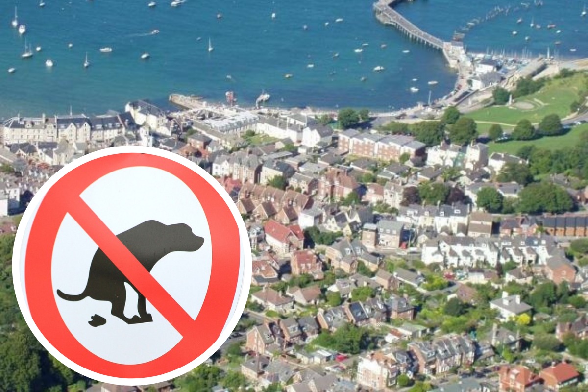 Swanage Town Council report increase in unpicked dog poo - Vimarsana News