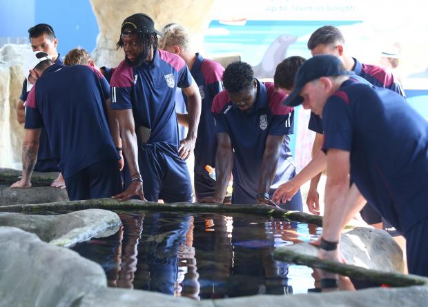 Dorset Echo: Weymouth FC team learning about rock pool wildlife at the Sea Life centre. Picture: Mark Probin