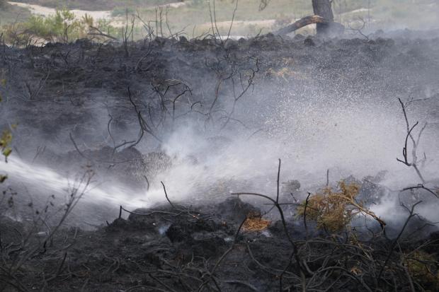 Dorset Echo: Upton Heath fire on August 4, 2022