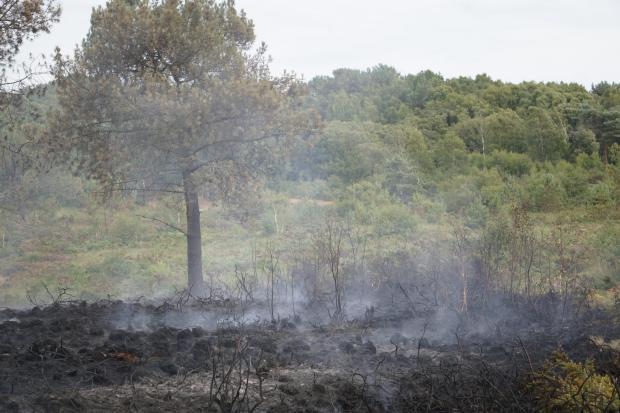 Dorset Echo: Upton Heath fire on August 4, 2022