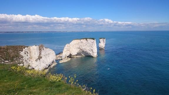 Dorset Echo: Old Harry Rocks Dorset Echo: Old Harry Rocks