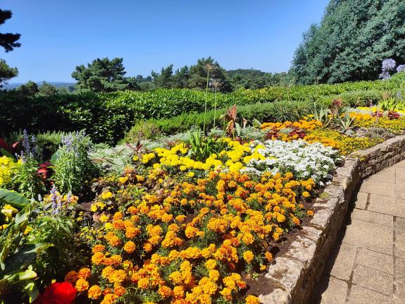 Dorset Echo: Compton Acres Dorset Echo: Compton Acres