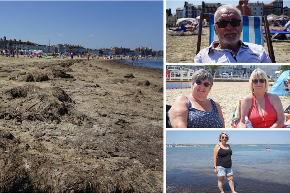 Weymouth: Beachgoers enjoy heatwave despite ‘slimy’ seaweed