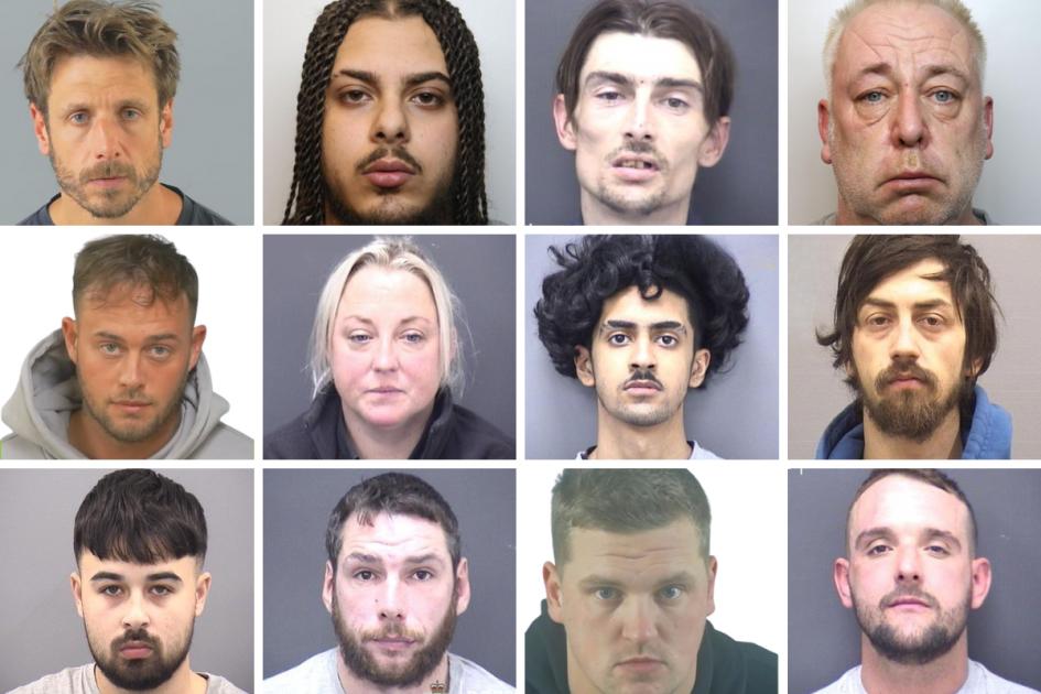 Jailed in August: The criminals put behind bars for Dorset offences last month