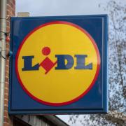 Lidl reduces Christmas veg prices to under 20p - get yours quick!