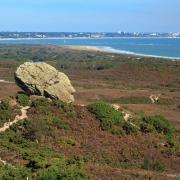 Godlingston Heath with Bournemouth and Poole in the background. Picture: National Trust/John Miller
