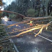 Roads closed and trees fallen as Storm Arwen hits Dorset - live updates